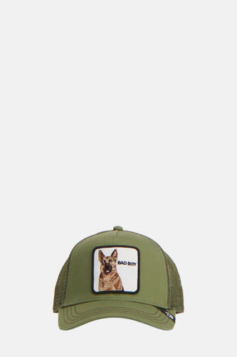 Pet Groen - GOORIN