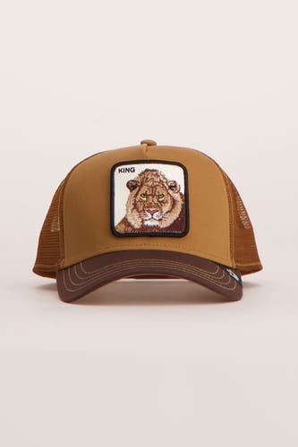 Pet - bruin