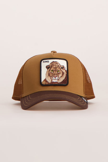 Pet - bruin