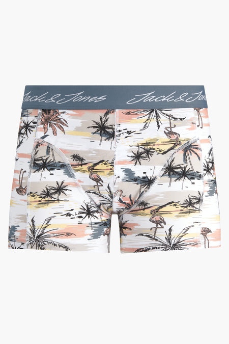 Boxershort Multicolor - ACCESSORIES BY JACK & JONES