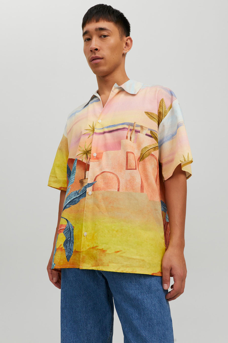 Hemd (korte mouwen) Multicolor - ORIGINALS BY JACK & JONES