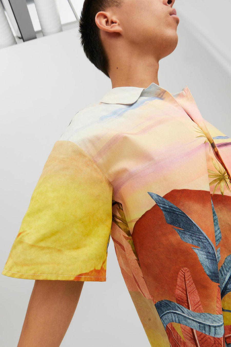 Hemd (korte mouwen) Multicolor - ORIGINALS BY JACK & JONES