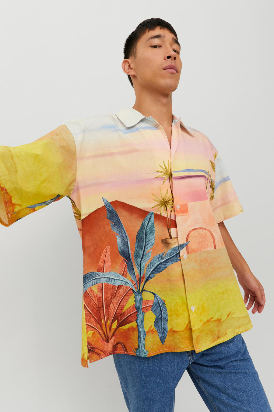 Hemd (korte mouwen) Multicolor - ORIGINALS BY JACK & JONES