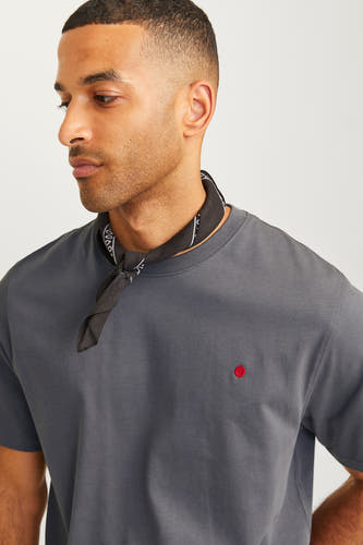 T-shirt (korte mouwen) Grijs - Royal Denim Divison
