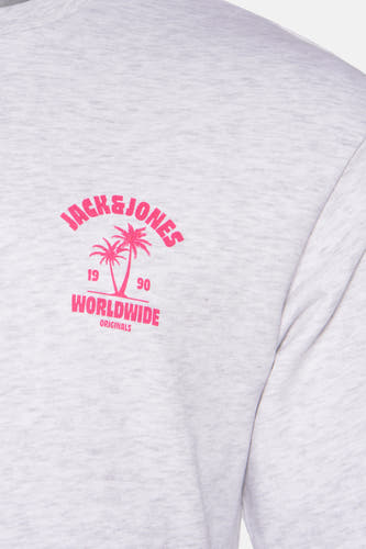 Sweater met ronde hals Grijs - ORIGINALS BY JACK & JONES