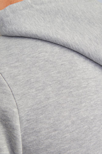 Sweater met kap Grijs - JJREBEL