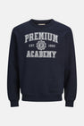 Sweater met ronde hals Blauw - PREMIUM BLUE by JACK & JONES