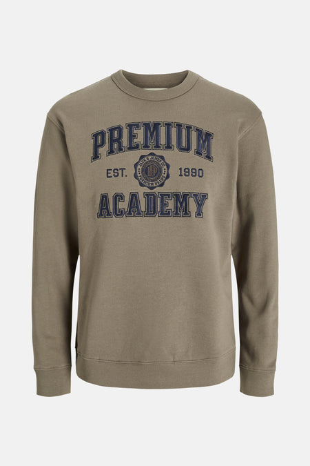 Sweater met ronde hals Bruin - PREMIUM BLUE by JACK & JONES