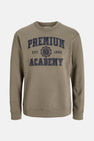 Sweater met ronde hals Bruin - PREMIUM BLUE by JACK & JONES
