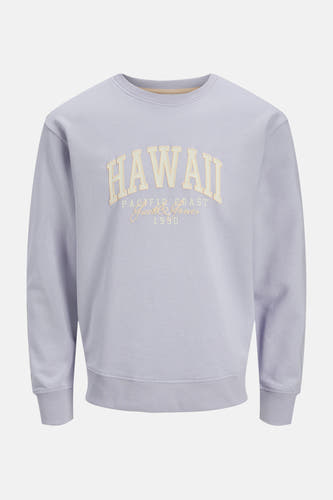 Sweater met ronde hals Paars - ORIGINALS BY JACK & JONES