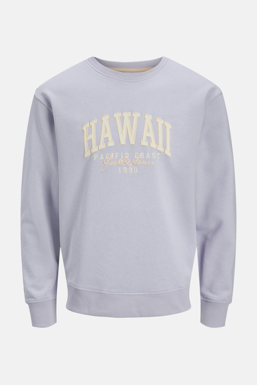 Sweater met ronde hals Paars - ORIGINALS BY JACK & JONES