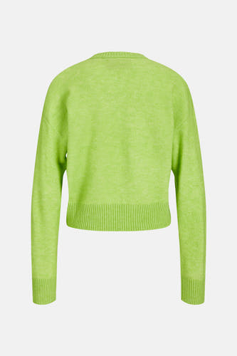 Trui met ronde hals Groen - JJXX