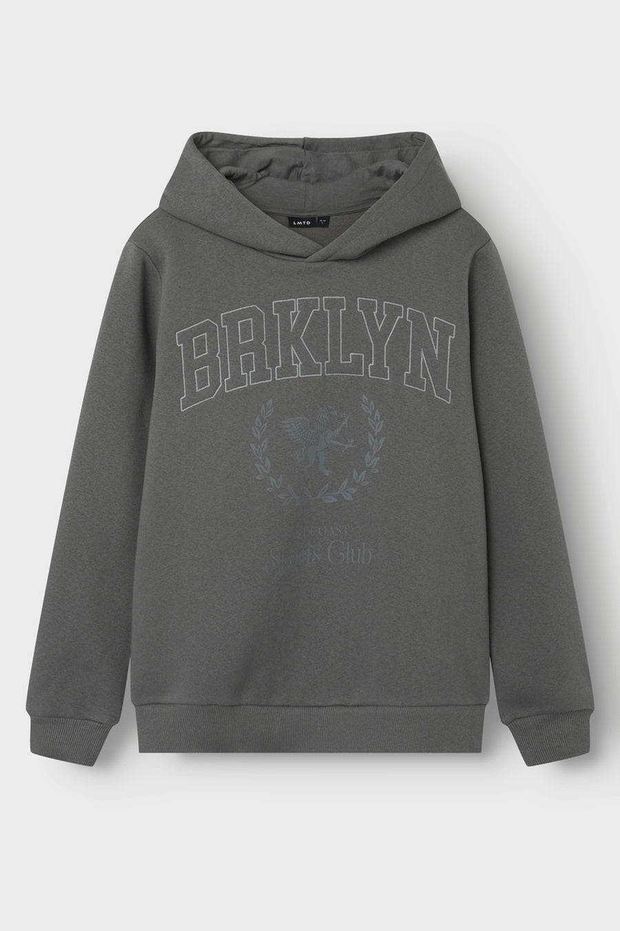 Sweater met kap Grijs - LMTD