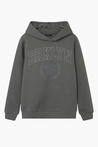 Sweater met kap Grijs - LMTD