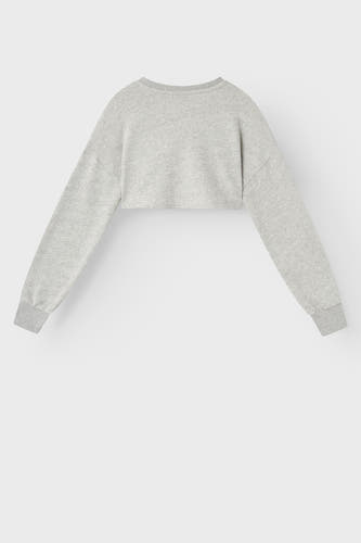 Trui met ronde hals Grijs - LMTD