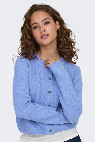 Cardigan Blauw - JDY