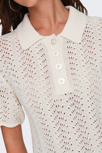 Polo's Wit - JDY