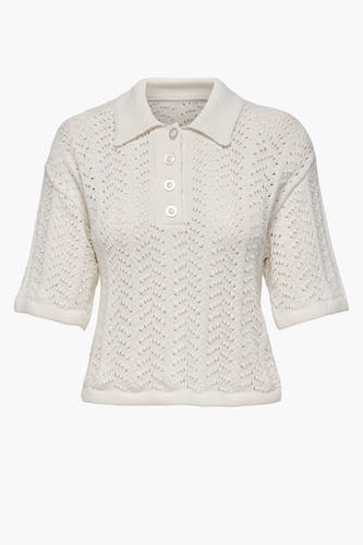 Polo's Wit - JDY