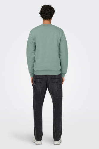 Sweater met ronde hals Groen - ONLY & SONS®