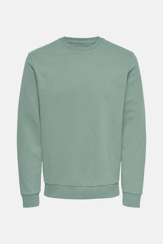 Sweater met ronde hals Groen - ONLY & SONS®