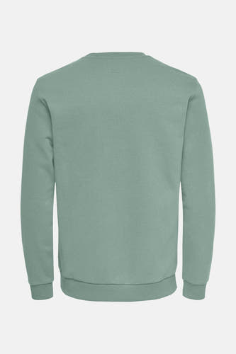 Sweater met ronde hals Groen - ONLY & SONS®
