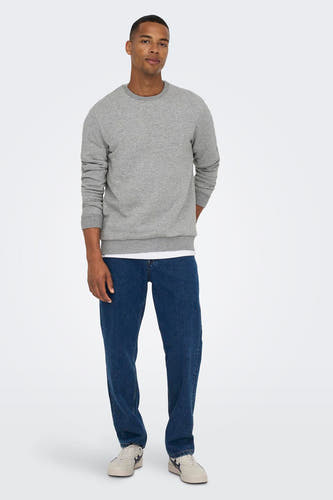 Sweater met ronde hals Grijs - ONLY & SONS®