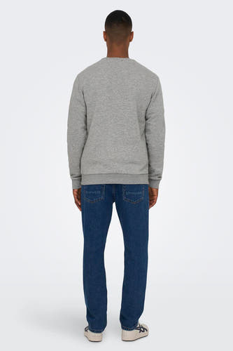 Sweater met ronde hals Grijs - ONLY & SONS®