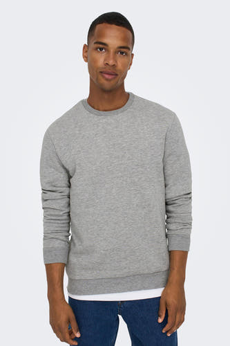 Sweater met ronde hals Grijs - ONLY & SONS®