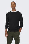 Trui met ronde hals Zwart - ONLY & SONS®