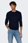 Trui met ronde hals Blauw - ONLY & SONS®