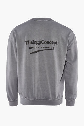 Sweater met ronde hals Grijs - THEJOGGCONCEPT