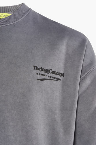 Sweater met ronde hals Grijs - THEJOGGCONCEPT
