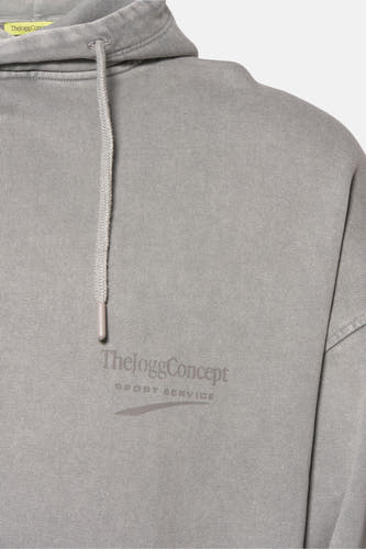 Sweater met kap Grijs - THEJOGGCONCEPT