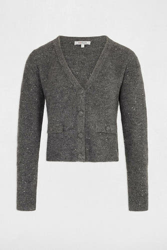 Cardigan Grijs - Morgan De Toi