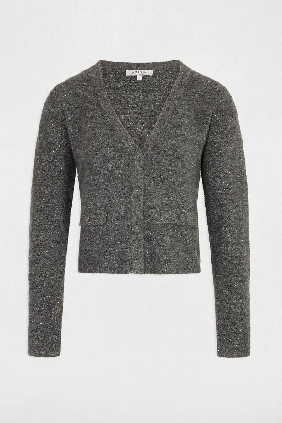 Cardigan Grijs - Morgan De Toi
