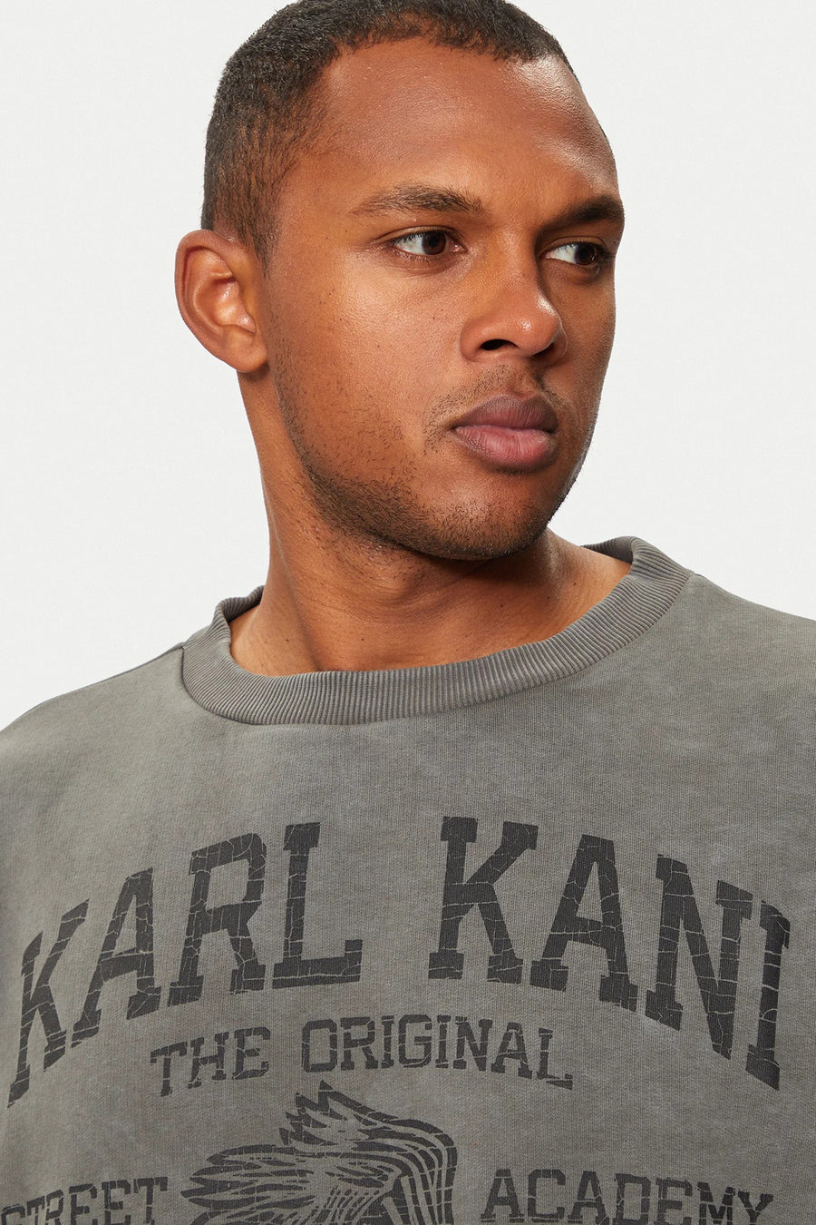 Sweater met ronde hals Grijs - KARL KANI