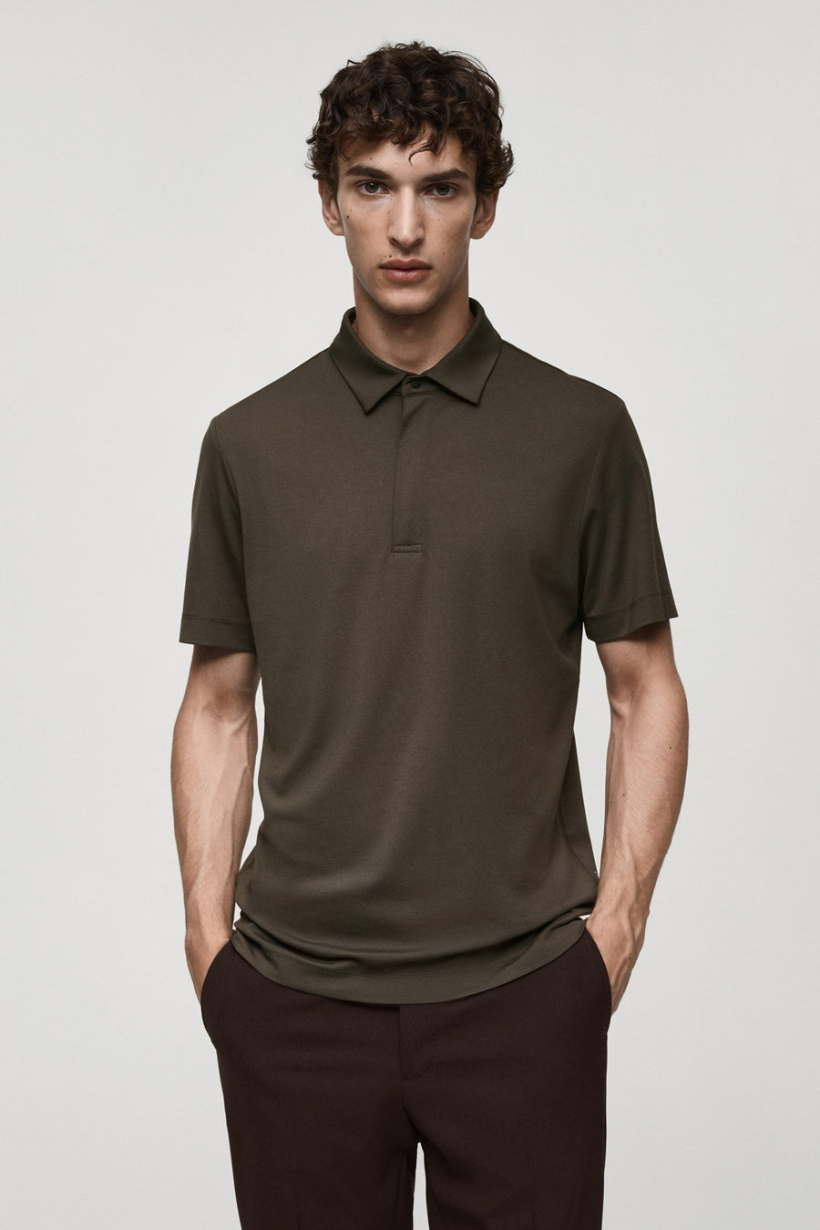 Polo's Bruin - Mango
