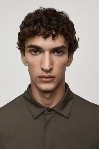 Polo's Bruin - Mango