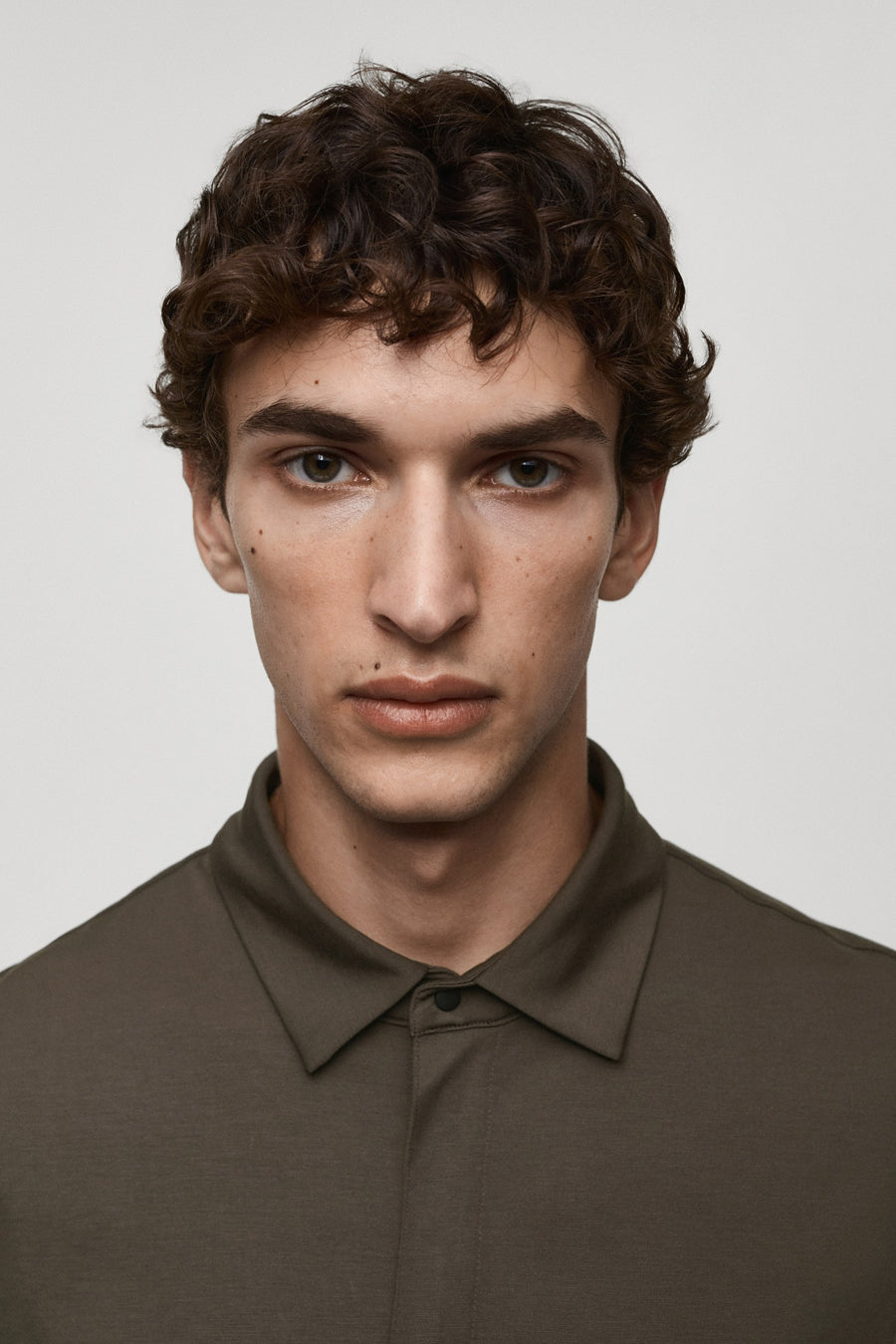 Polo's Bruin - Mango