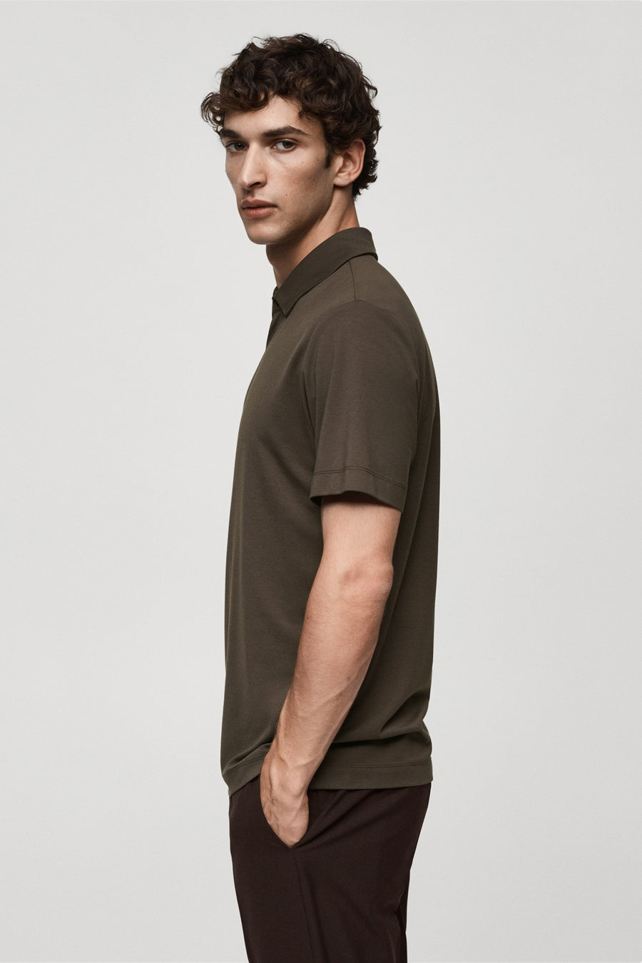 Polo's Bruin - Mango