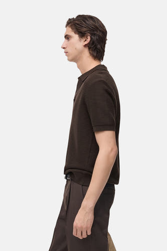 Polo's Bruin - Mango