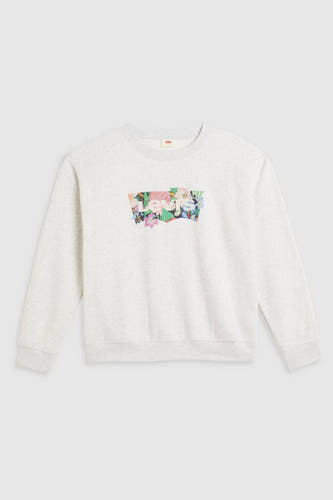 Sweater met ronde hals Grijs - Levi's®