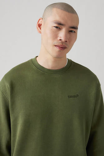 Sweater met ronde hals Groen - Levi's®