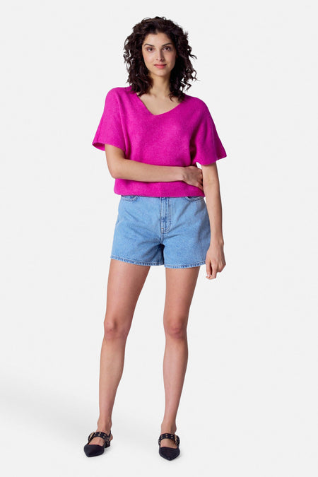 Trui met V-hals Roze - Astrid Black Label