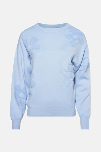 Trui met ronde hals Blauw - HAILYS