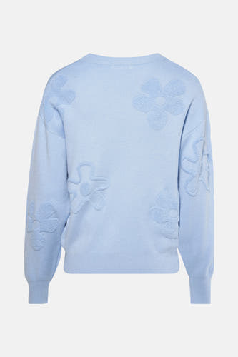 Trui met ronde hals Blauw - HAILYS