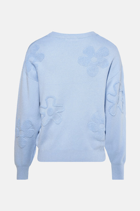 Trui met ronde hals Blauw - HAILYS