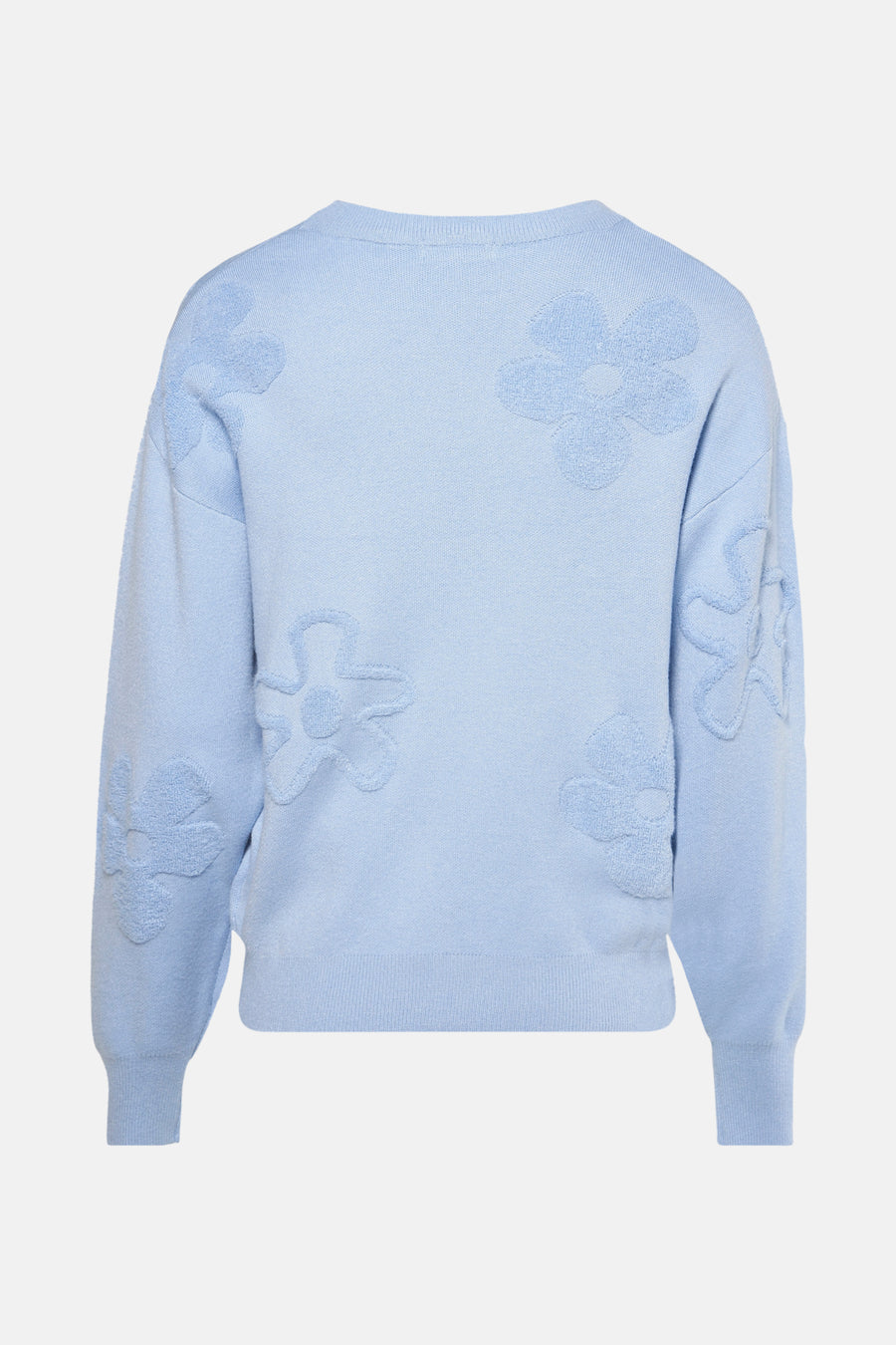Trui met ronde hals Blauw - HAILYS