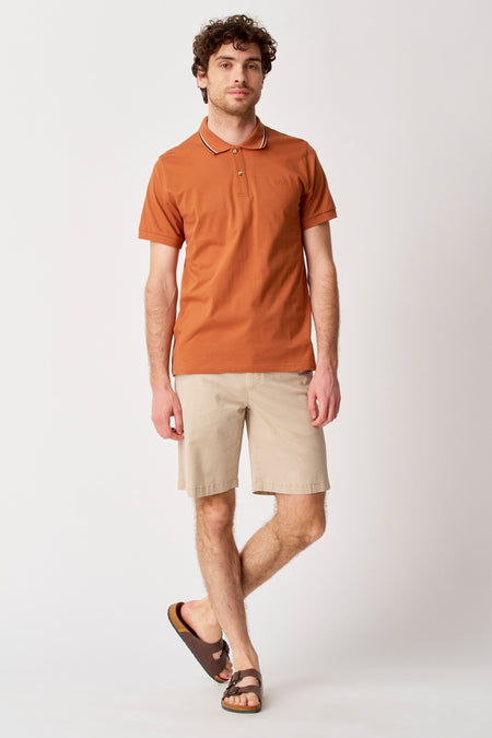 Polo's Bruin - Bruce & Butler