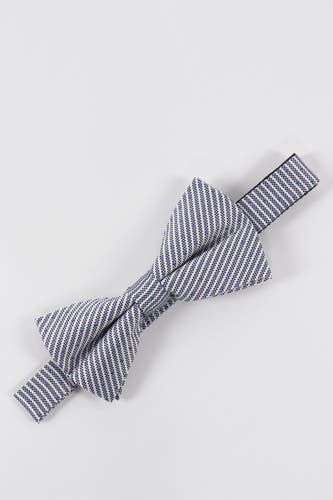Strikje Blauw - Le Fabuleux Marcel de Bruxelles